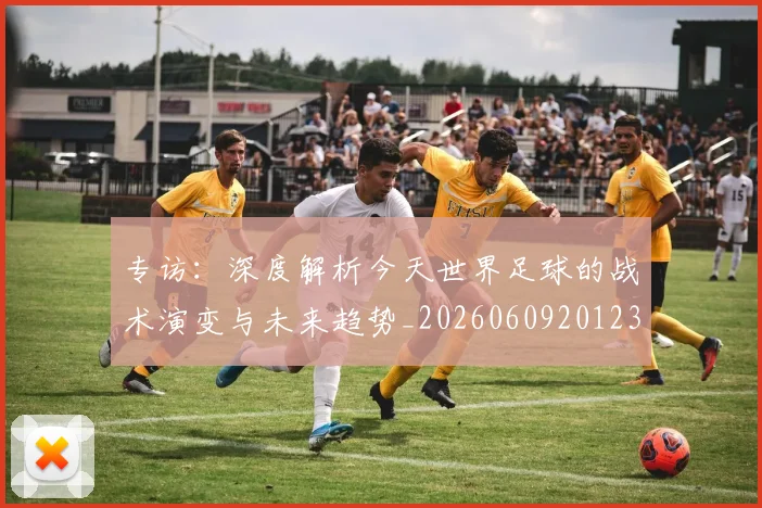 专访:深度解析今天世界足球的战术演变与未来趋势_20260609201236