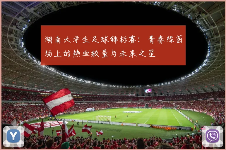 湖南大学生足球锦标赛:青春绿茵场上的热血较量与未来之星