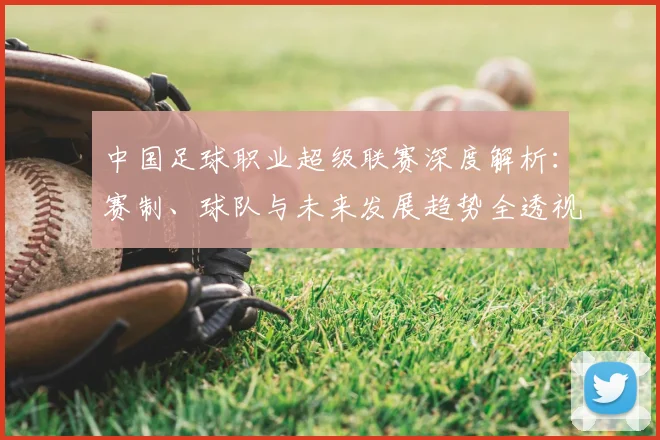 中国足球职业超级联赛深度解析:赛制、球队与未来发展趋势全透视